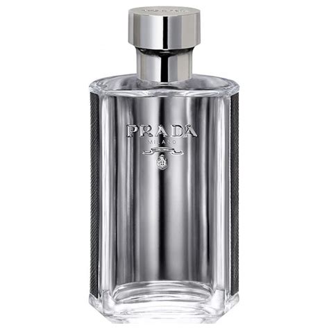 fragrance similar to prada l homme|Prada l'homme edt 50ml.